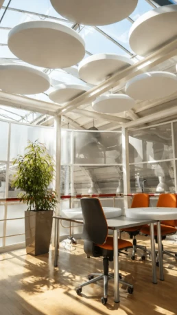 Pannelli fonoassorbenti circolari sospesi al soffitto in un ufficio moderno
